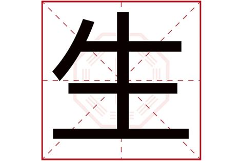 生字五行|生字的五行属什么